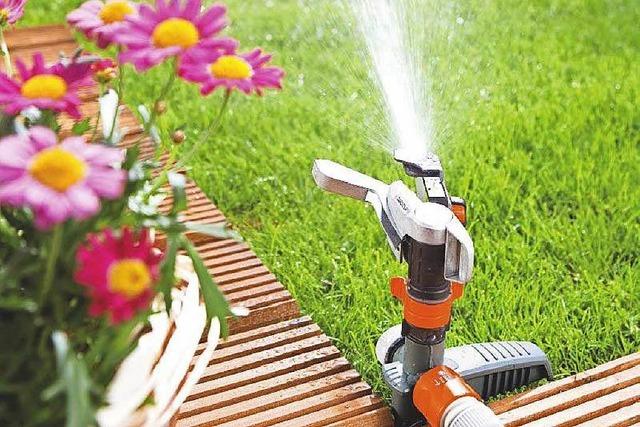 4 Tipps vom Profi fr die Rasenpflege im Sommer