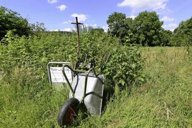 Stadt Freiburg stoppt Urban Gardening im Landschaftsschutzgebiet