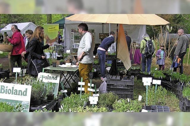 Die Biogartenmesse findet erstmals im Park des Schlosses Ebnet statt