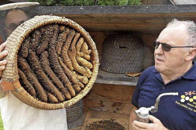 Besucherrekord beim Bienentag