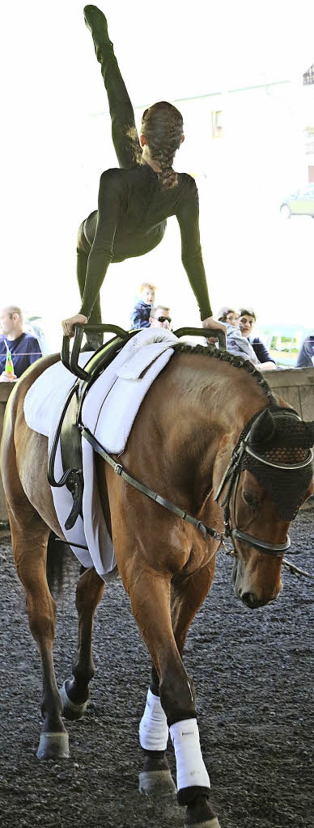 In Schritt- und Galopp-Wettbewerben ma...reinen  in der Reithalle in Prechtal.   | Foto: Karin Heiss