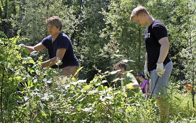 DSM-Azubis umgeben von Grn: Arbeitseinsatz im Biotop zum Earth Day   | Foto: Albert Greiner