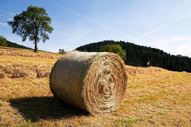 Heuballen waren das Ziel von Brandstiftern. (Symbolbild)  | Foto: Daniel Fleig