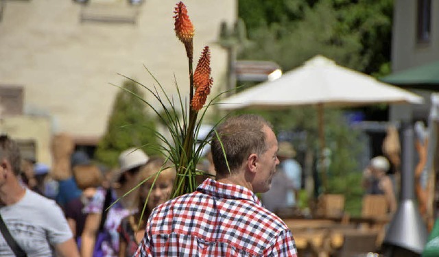 Ob man Gartentipps sucht oder exotisch... auf Schloss Beuggen ist man richtig.   | Foto: Gerigk