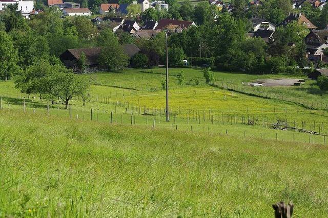 Brger wollen Bebauung der Kppelematten verhindern