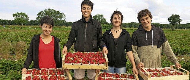 Mara Jos Viteri, Joaqun Andrade,  M...im Erdbeerpflcken als Spendenaktion.   | Foto: Jennifer Ruh