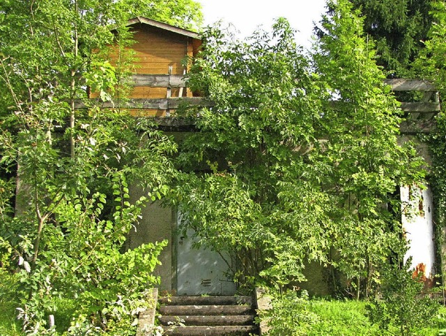 An Stelle des hlzernen Gartenhuschen... einstckiges Wohnhaus gebaut werden.   | Foto: Manfred Lange