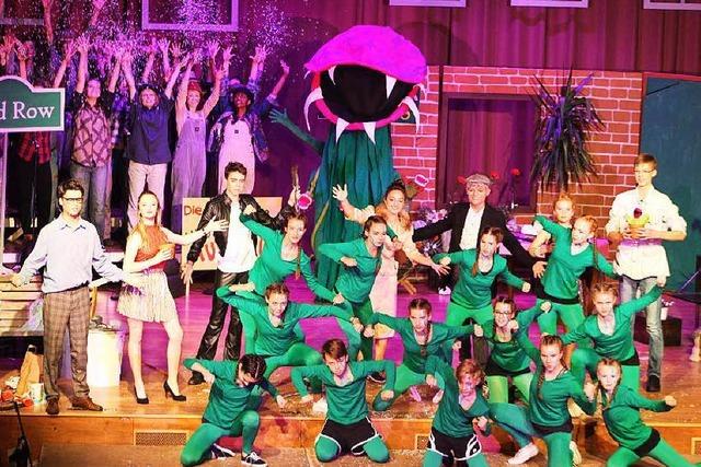 Musical des MCG in Kirchzarten: Mitreiende Show mit Monsterpflanze
