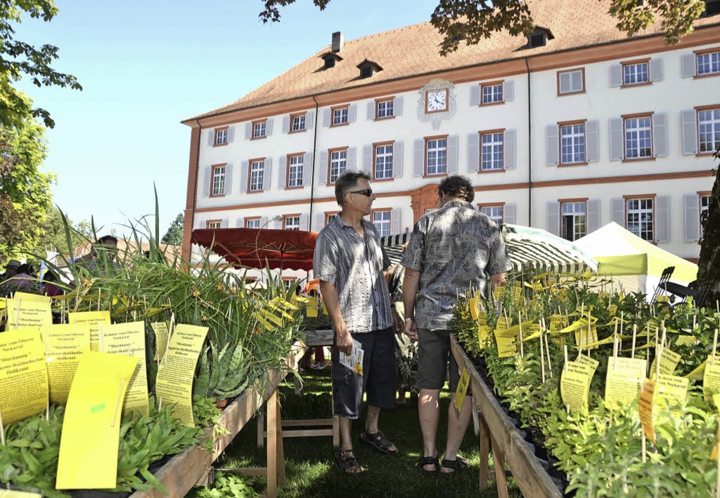 Die Gartenmesse DiGa auf Schloss Beuggen mit Seerosenschau