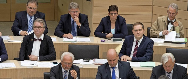 Bei der AfD sitzen Sie in der letzten Reihe:   Meuthen (hinten Mitte)   | Foto: dpa