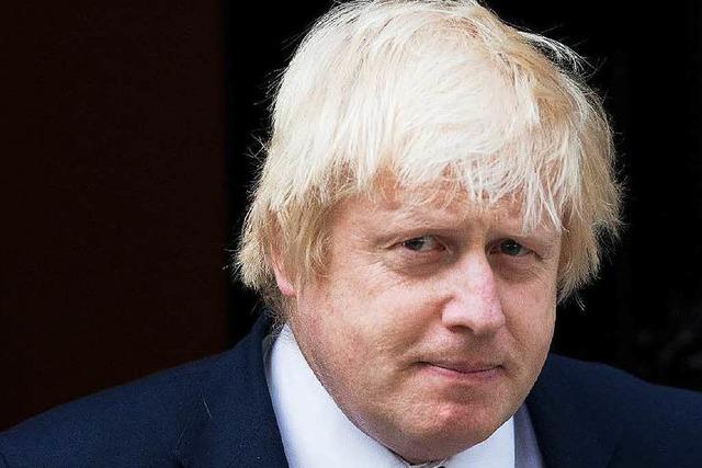 Brexit-Befürworter Johnson soll Außenminister werden