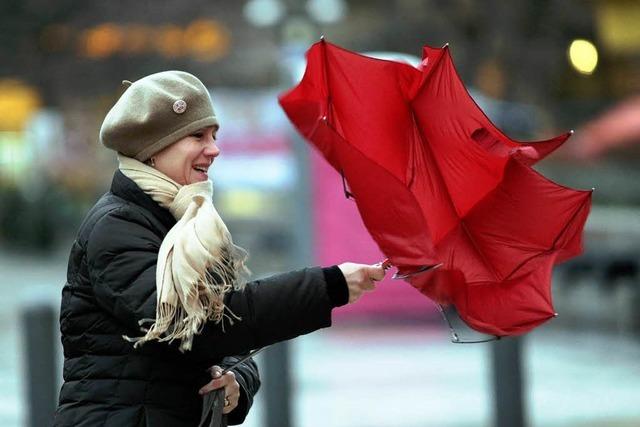 Fotos: Die schnsten Sturm-Schirme