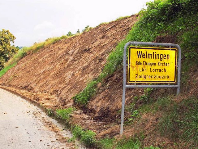 Ein groer Maisacker oberhalb von Welm...mabgnge des Unwetters Ende Juni sein.  | Foto: Jutta Schtz