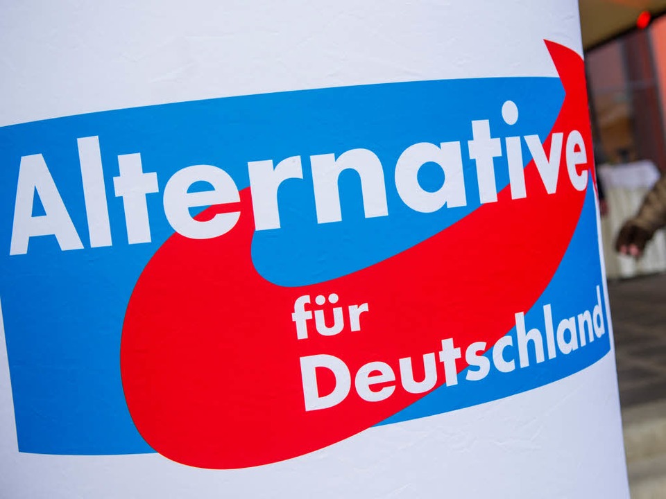 Dubravko Mandic ist AfD-Politiker.  | Foto: dpa