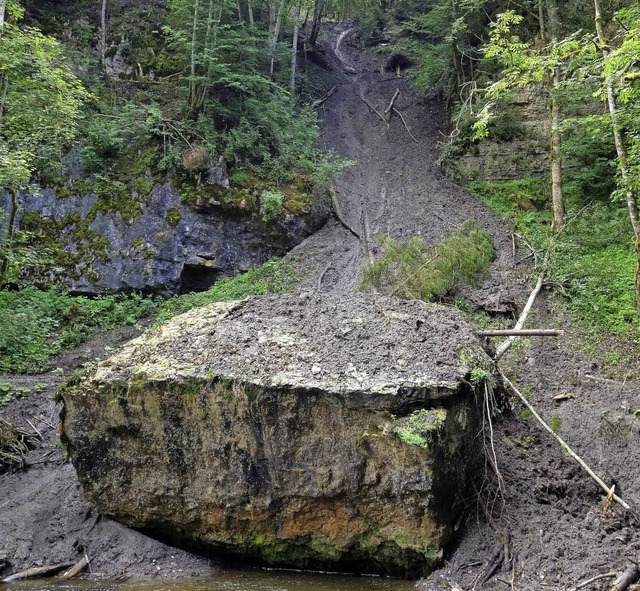 Ein nachrutschender Hang ist fr die S...in der Wutachschlucht verantwortlich.   | Foto: Martin Schwenninger