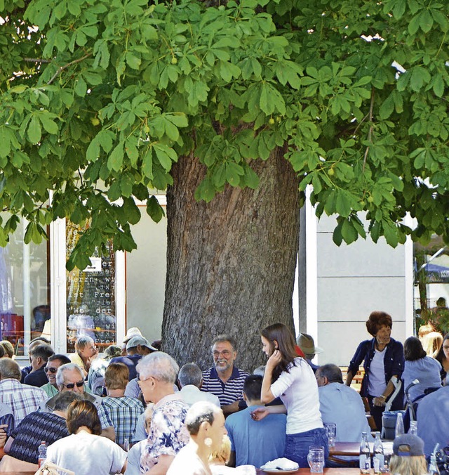 Die Kastanie diente auch beim Johannim...ttenspender, wo dieses Foto entstand.   | Foto: Ralf H. Dorweiler