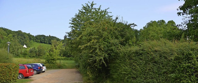 Auf der Wiese im Hintergrund soll das ... Hecke soll nicht beschnitten werden.   | Foto: Frank Schoch