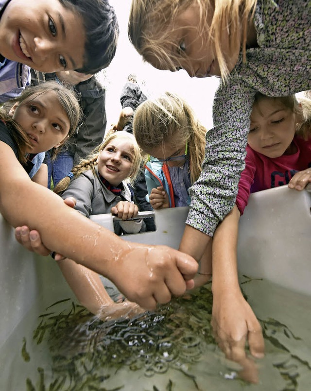 Grundschulkinder wnschten den Fischen...ese in die Freiheit entlassen wurden.   | Foto: Michael Bamberger