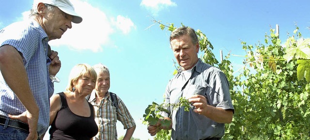 Biowinzer Hans-Jrg Sprich (rechts) ze...die Trauben bereits entwickelt haben.   | Foto: Ounas-Krusel