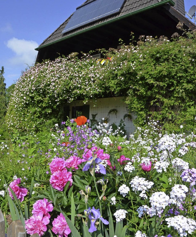 Typisch Bauerngarten: Mischung aus Nutz- und Zierpflanzen   | Foto: m. donner