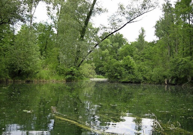 Die Brgerinitiative will verhindern, ...ologische Flutungen gefhrdet werden.   | Foto: Privat