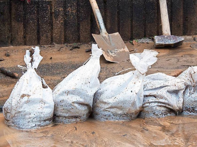 Sandscke werden &#8211; wie hier in W... 8000 davon liegen in Eschbach bereit.  | Foto: dpa