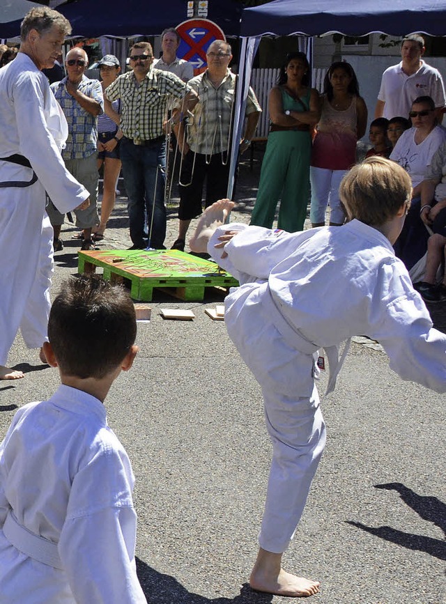 Die Kampfknstler traten auch beim Kindertag auf.   | Foto: Privat