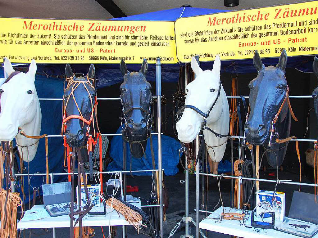 Pferdefreunde aus ganz Europa treffen sich in Offenburg.