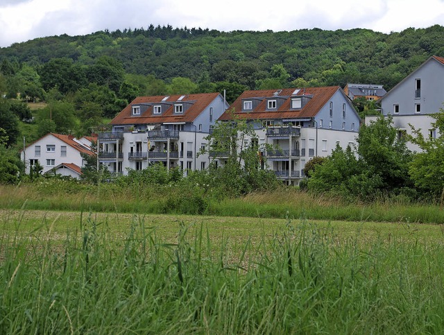 Hier entsteht das Neubaugebiet Belist ...an, finden die Grnen im Gemeinderat.   | Foto: Thomas Loisl Mink