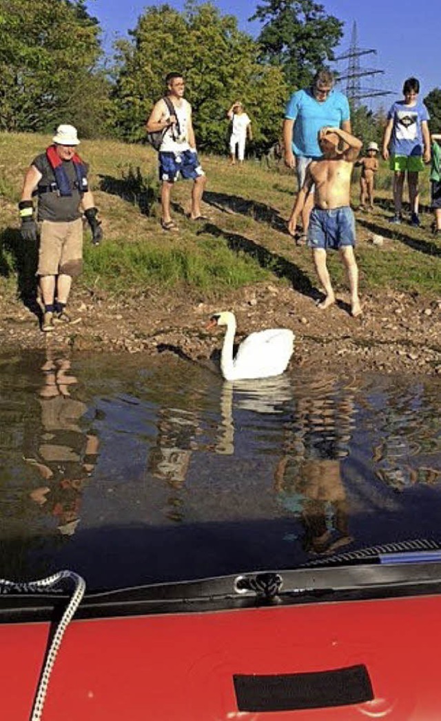 Einsatz fr die Sondereinheit Wasser- ...zsee an einer Angelschnur verheddert.   | Foto: Feuerwehr