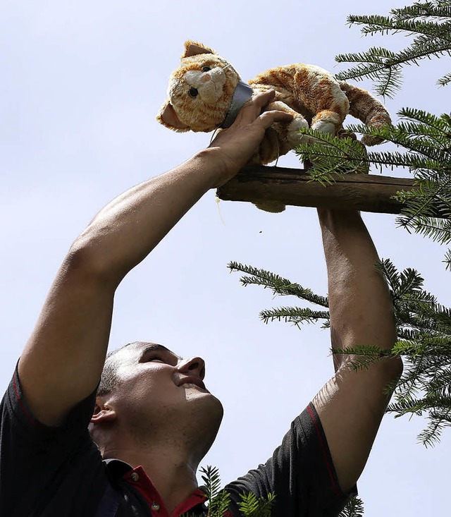 Die zu rettende Kletterkatze diente auch als Trostpreis.  | Foto: Heinrich Fehrenbach