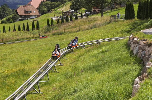 Auf der Sommerrodelbahn in Gutach kommt es immer wieder zu Unfllen.  | Foto: bz