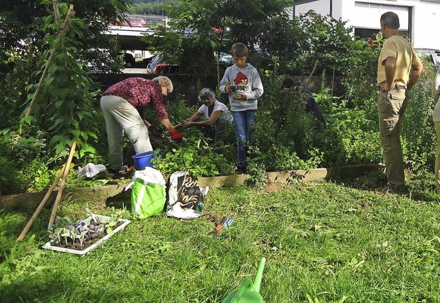 Hier wird mitten in der Stadt gegrtnert.   | Foto: Lena Herrlich