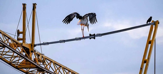   | Foto: Hans-Jrgen van Akkeren