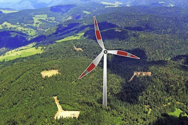 Naturschutz bremst Windkraft ab