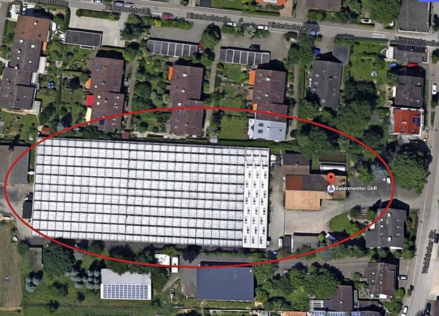 Das groe Gewchshaus der Grtnerei Be...r Gewerbebetriebe geschaffen werden.   | Foto:  Googlemaps/BHK Architekten