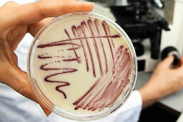 Tübinger Forscher entdecken neues Antibiotikum