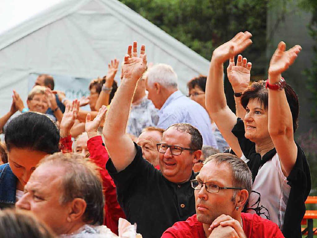 Nik P. und Die Grafenberger beim Open Air im Park