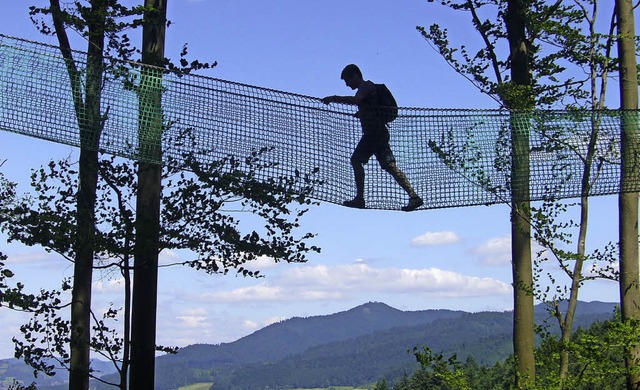 Ausblick in luftiger Hhe:  Baumkronenweg in Waldkirch   | Foto: Lothar Arnhlter