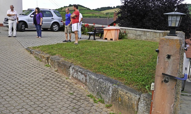 Die Rasenflche entlang der Auffahrt z...rkplatz zur Verfgung gestellt werden.  | Foto: Christel Hlter-Hassler