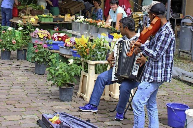 Musik auf dem Markt