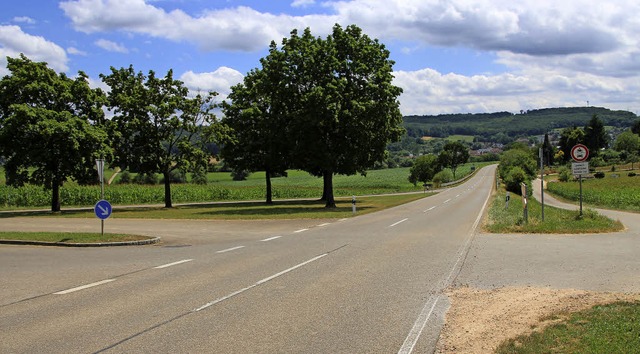 Radfahrer, die vom rechts im Bild verl...nflche weiter Richtung Dorf gefhrt.   | Foto: R. Cremer