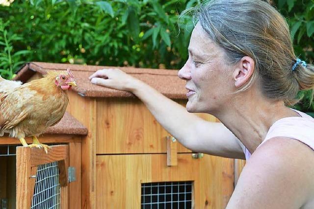 Warum sind Hühner plötzlich als Haustiere gefragt?