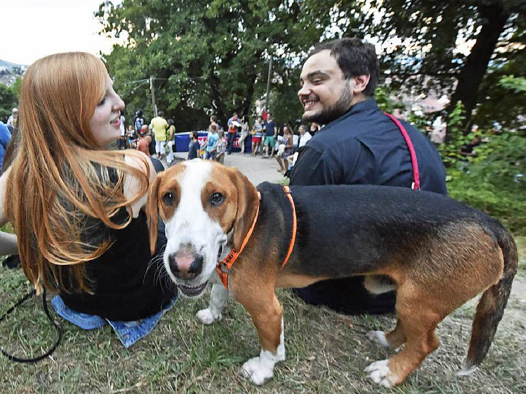 Menschenmassen beim Schlossbergfest.