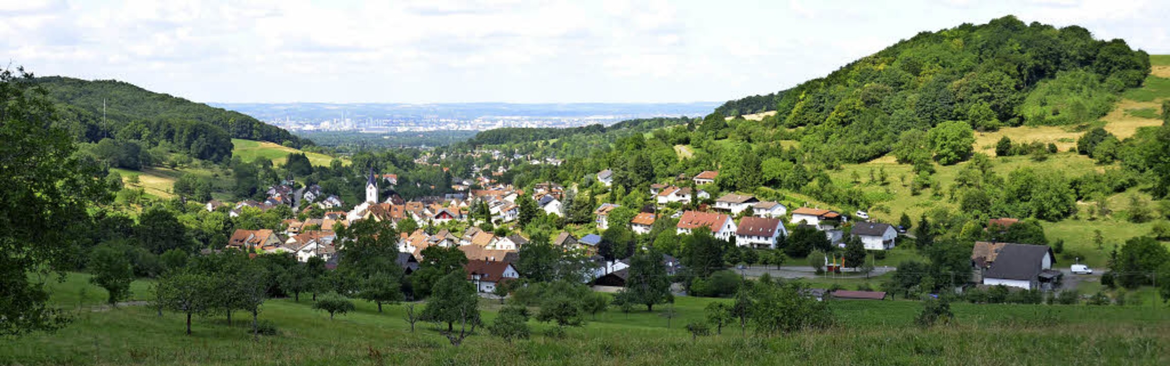 Frey macht Inzlingen beim ÖPNV Mut Inzlingen Badische Zeitung