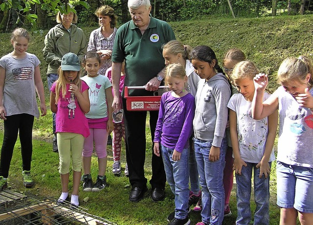 Viel Wissenswertes erfuhren die Kinder...s fr viele, den Fischen zuzuschauen.   | Foto: Anglerverein Zell