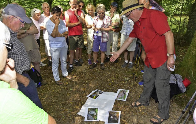 Eine Flle ntzlicher Tipps und Inform...rn an der BZ-Ferienaktion weitergeben.  | Foto: Archivfoto: Dieter Erggelet