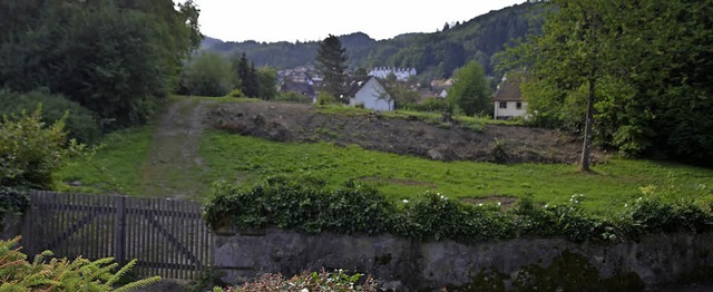 Wohnen im Grnen und in bester Innenst...18 der neue stdtischen Kindergarten.   | Foto: Markus Maier