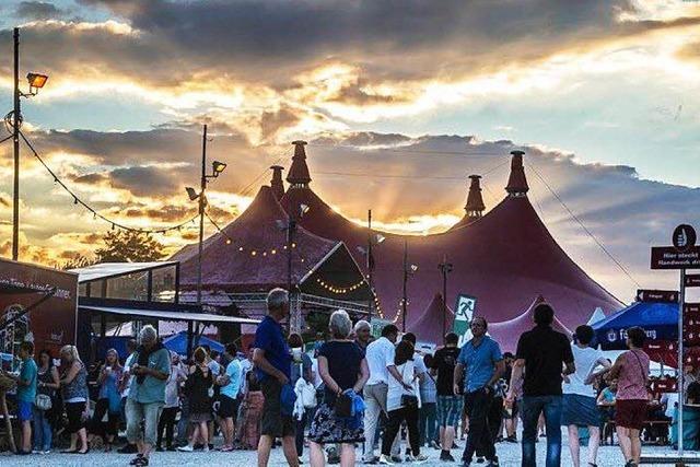 Stimmen-Festival und ZMF mit ihren Bilanzen zufrieden