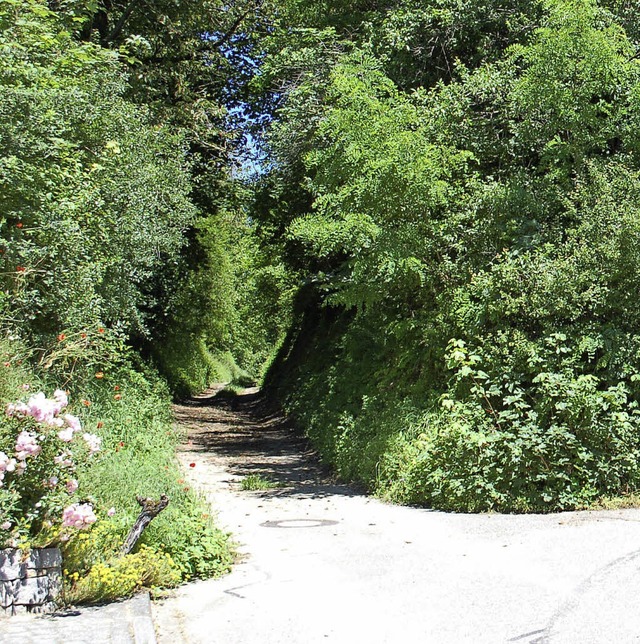 ber den Einmndungsbereich dieses Hoh...iets Klein-Mnchberg  gefhrt werden.   | Foto: KLaus Fischer